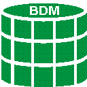 Bulk Data Manager icon